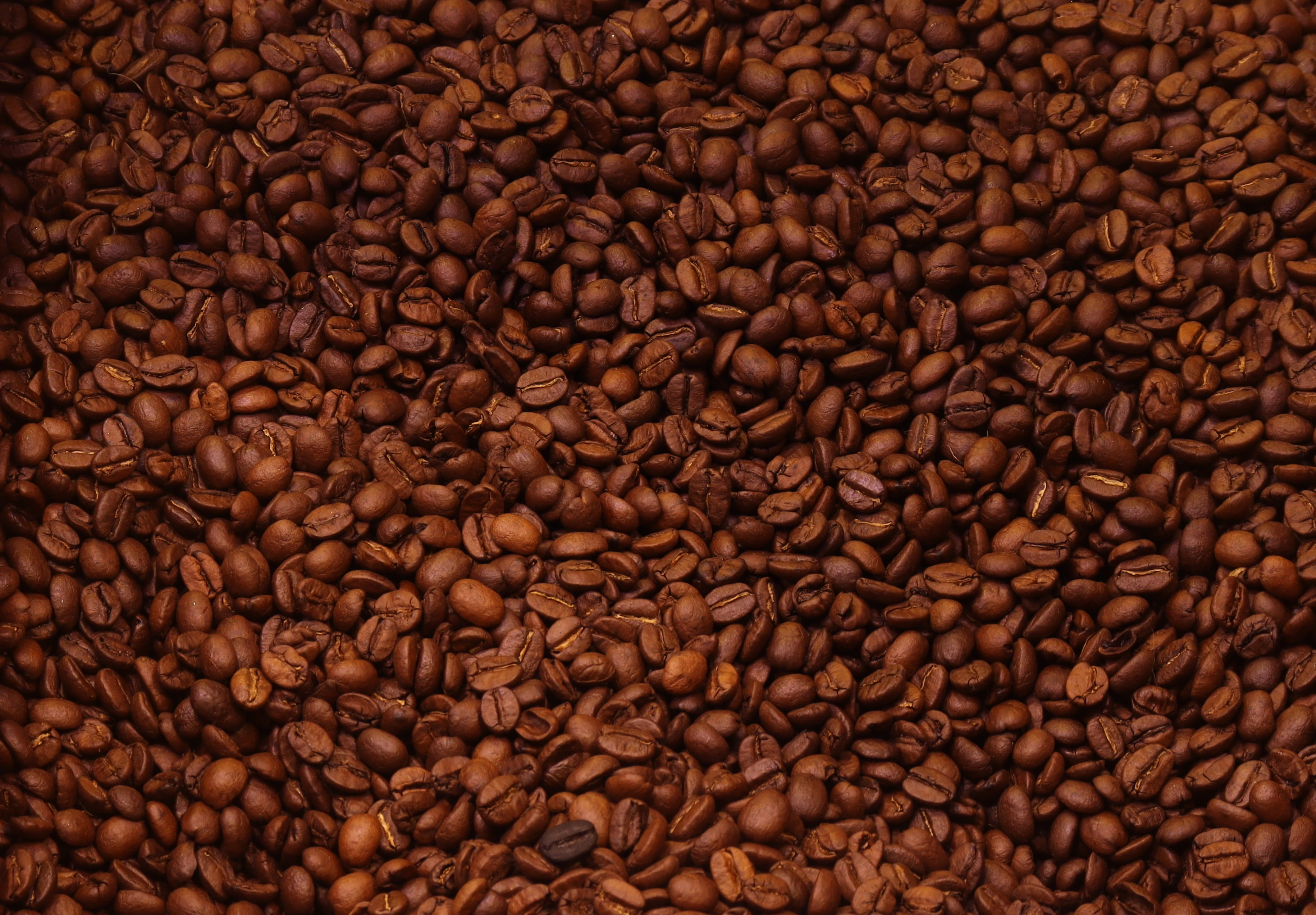 Confezione miscela Extradulce – Caffè Toninho